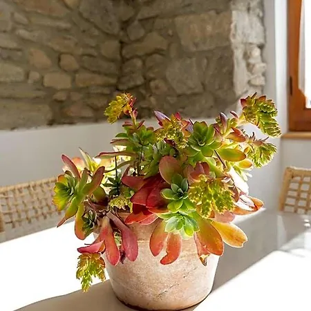 Hotel La Cascina Dei Ciliegi 4*