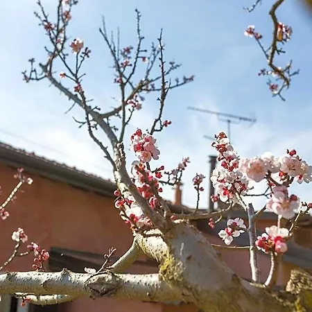 La Cascina Dei Ciliegi Arona