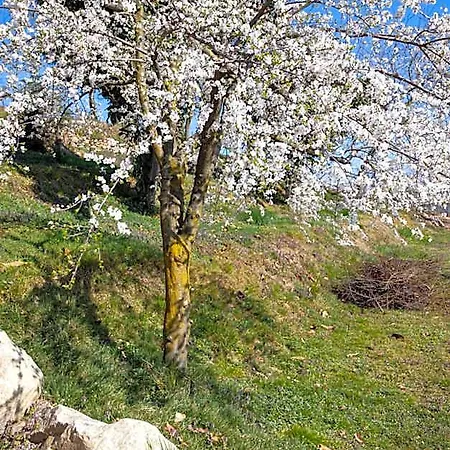 La Cascina Dei Ciliegi Hotel 4*